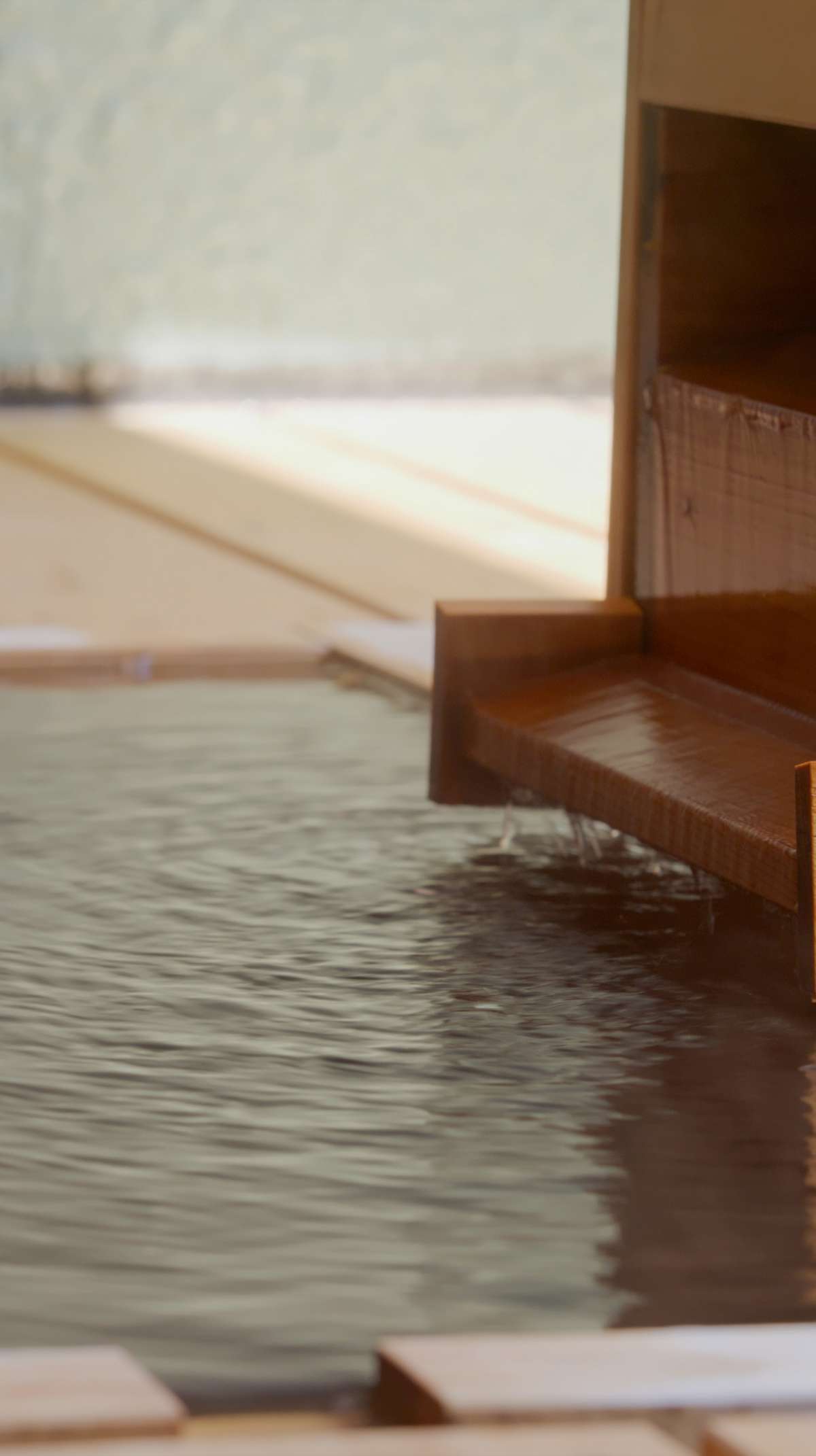 Image 5 SP